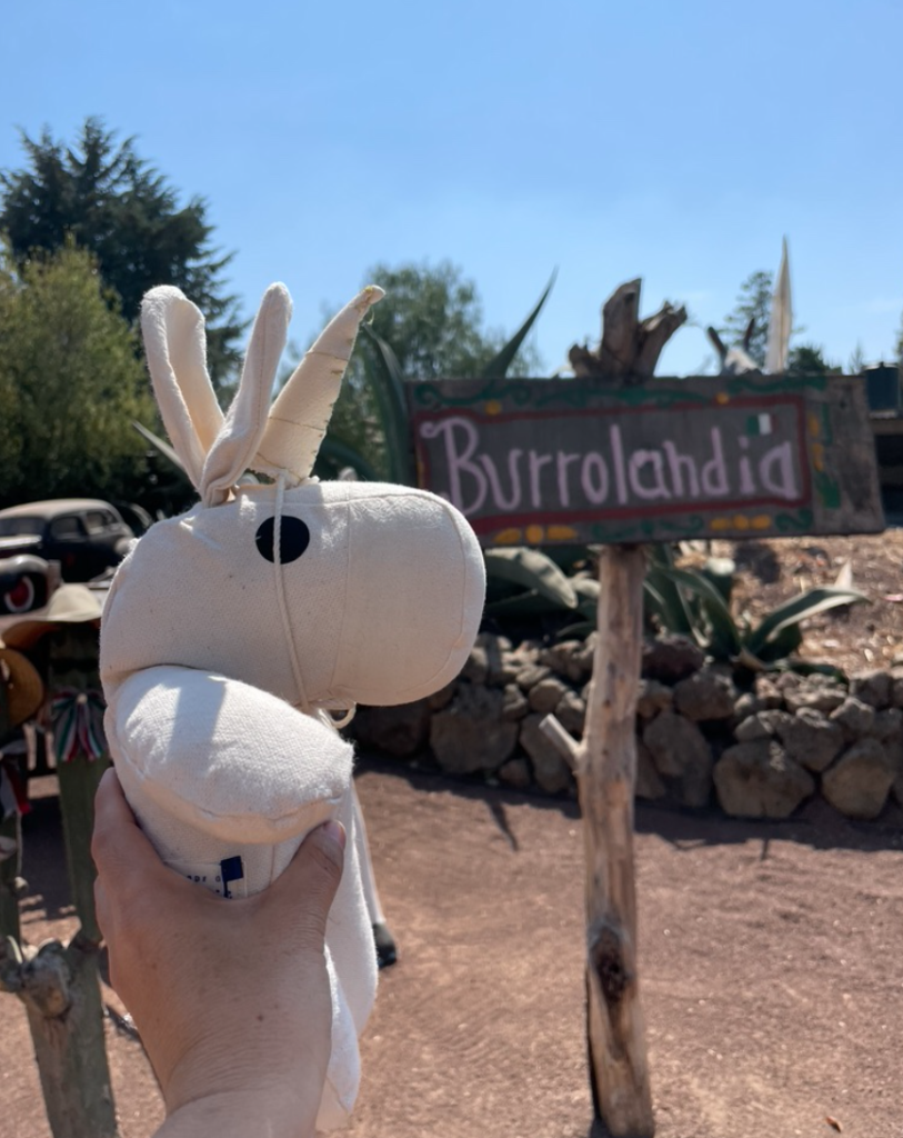 refugio de burros mexico