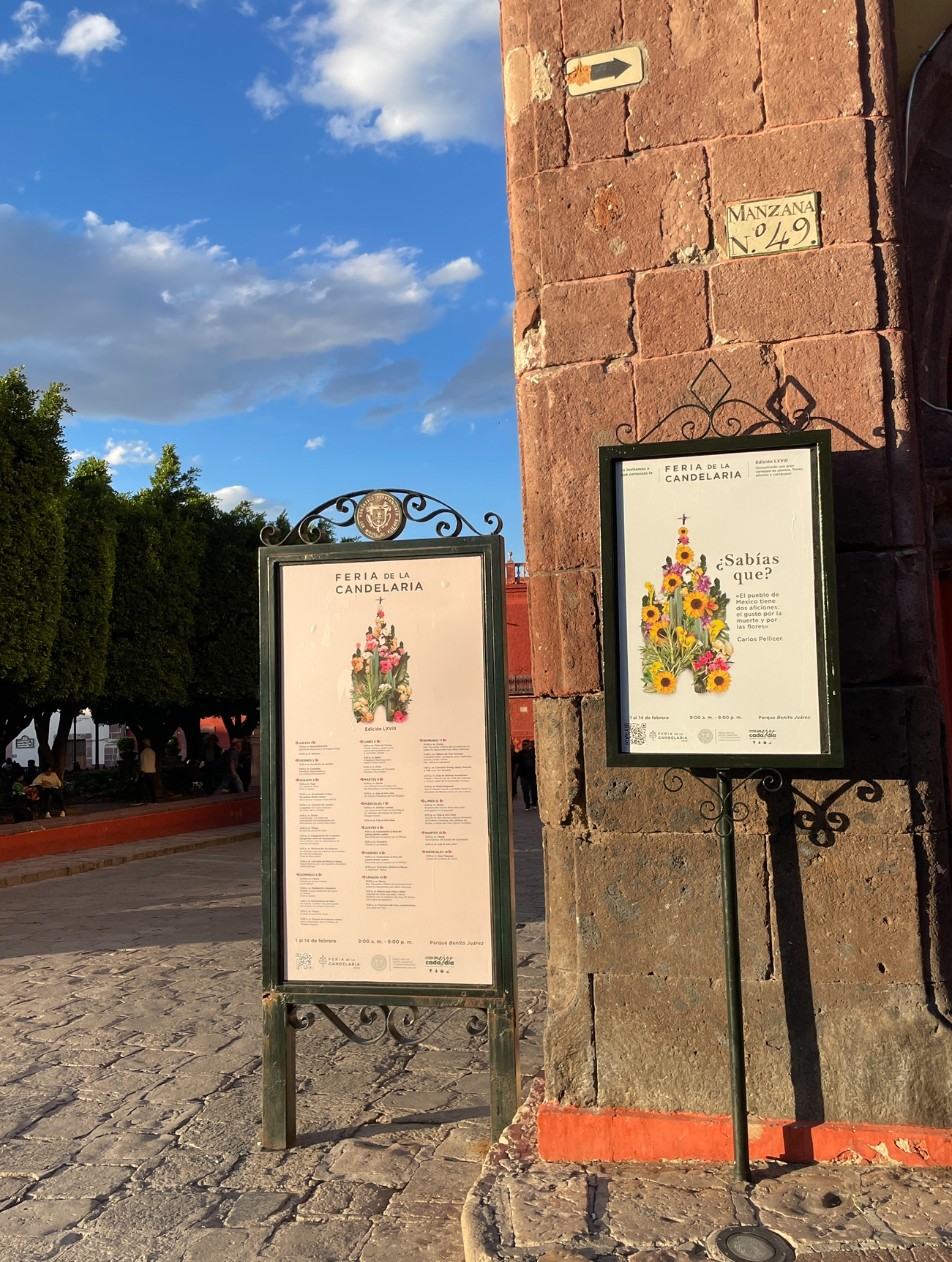 Programa Candelaria SMA