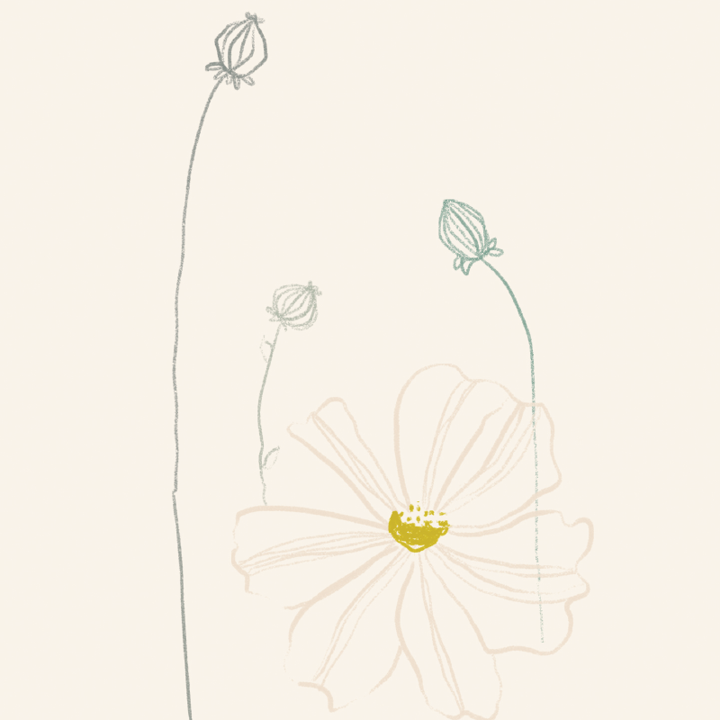 Illustration Design kids